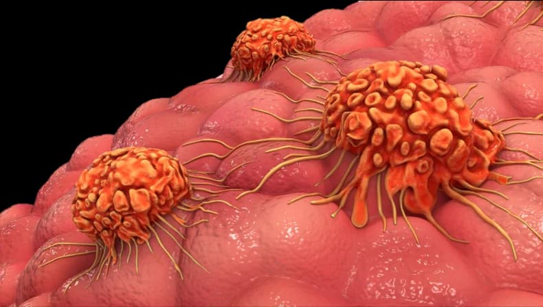 Smoking Cessation Counseling